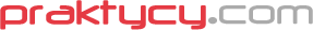 Praktycy.com